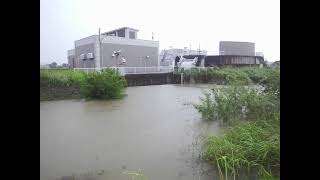 越流提を越えフル稼働!!【平成27年9月関東・東北豪雨】にて増水した『首都圏外郭放水路・第四立坑』流入施設