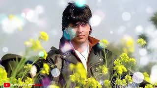 SRK Bollywood Old Mashup Song 2023 |  90s SRK Mashup | Shah Rukh Khan Mashup #lofi