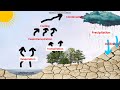 THE HYDROLOGICAL CYCLE AND WHY IT IS IMPORTANT.