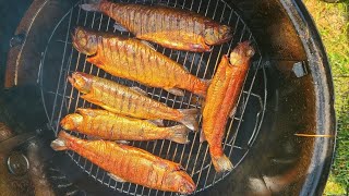 Smoking Trout