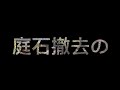 2020 02 12 庭石撤去の見積もり　現場近くの団地に石が使われているかフラッと視察