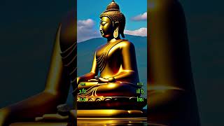 ✅ Buddha Inspirational Meditation Quotes #shorts