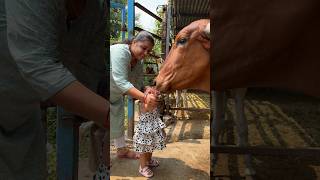 ❤️🥖गौ माता को रोटी खिलाया🥖❤️ #youtubeshorts #shravanseva #cow #trending