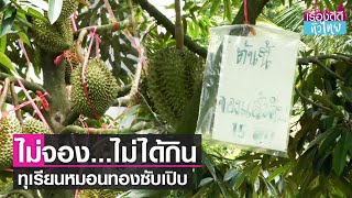 ทุเรียนหมอนทองบ้านซับเปิด ไม่จองไม่ได้กิน I เรื่องดีดีทั่วไทย I 4-7-65