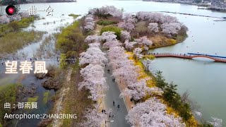 アジアの原風景　望春風　Spring Breeze