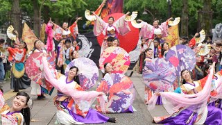 SA:GA-彩雅- 📍よさこい祭りin光が丘公園 (パレード①) 2024-07-14T15:36