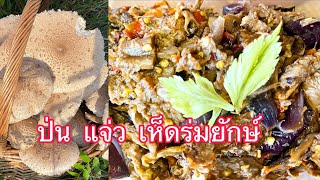 ตำป่น ตำแจ่ว⁉️เห็ดร่มยักษ์(อร่อยมากๆ) 16 กันยายน  2021