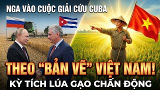 RUSSIA JOINS THE EFFORT TO RESCUE CUBAN RICE: BUT THE 