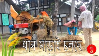 বাংলার সোনার মানুষ-বাংলার কৃষক-গ্রামীণ বাংলার ধান মাড়াইয়ের দৃশ্য-Rice threshing-Beautiful Bangladesh