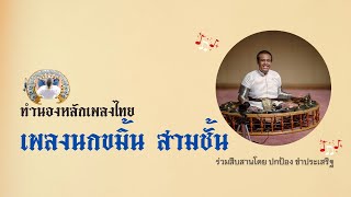 นกขมิ้น สามชั้น