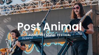 Post Animal - You Were Not There | Audiotree Music Festival 2018