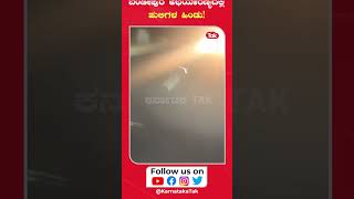 Tiger: ಬಂಡೀಪುರ ಅಭಯಾರಣ್ಯದಲ್ಲಿ ಹುಲಿಗಳ ಹಿಂಡು! |Karnataka Tak|