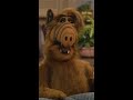 there s only one musical alf wants to see