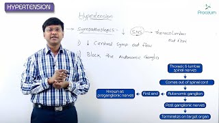 3. Sympathoplegics: Introduction: CVS Pharmacology