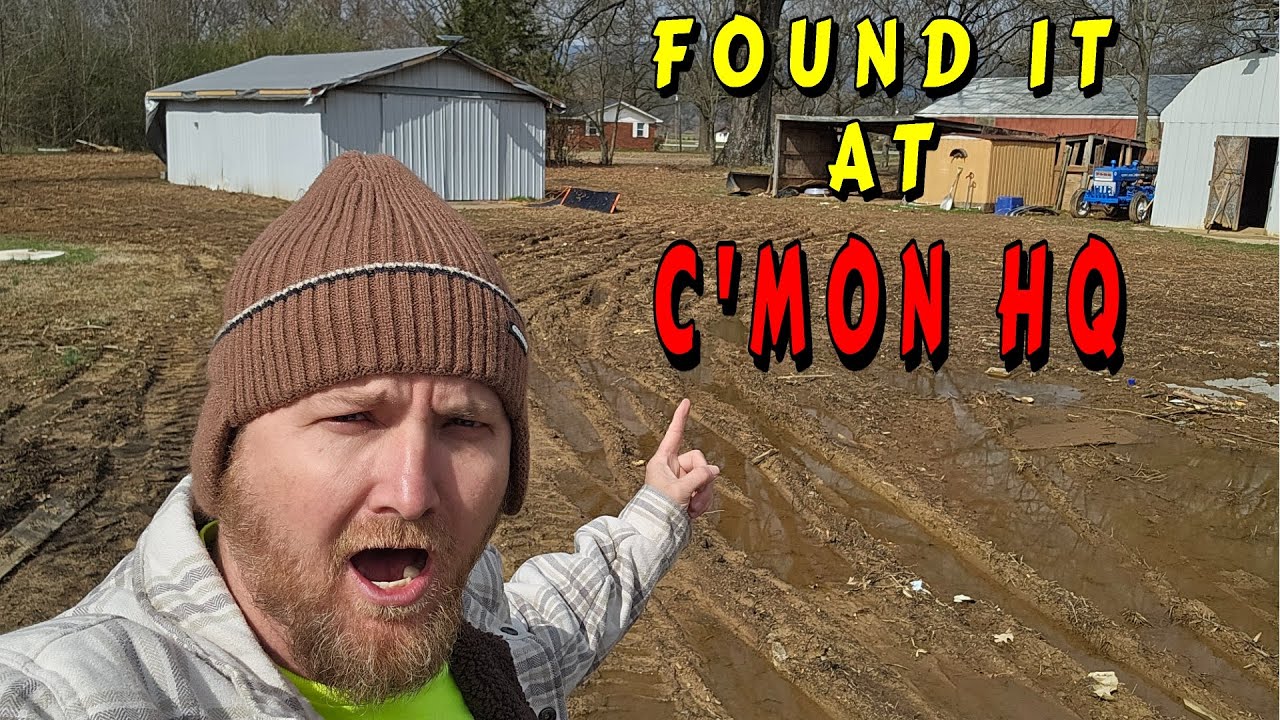 What Did I Find Tiny House Homesteading Off Grid Cabin Build Diy