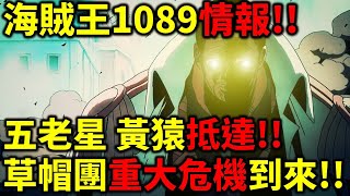 海賊王1089情報！五老星抵達蛋頭島！卡普戰敗新聞擴散！草帽團巨大危機！