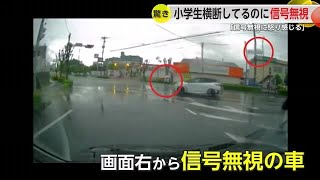 小学生が横断歩道渡ってるのに信号無視の車　危険な運転に「怒りを感じます」【佐賀県】 (24/04/23 18:12)