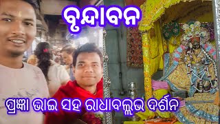 ବୃନ୍ଦାବନର ସବୁଠୁ ପ୍ରଥମ ପୁରୁଣା ମନ୍ଦିର ରାଧାବଲ୍ଲଭ | Radhavallabh Temple Vrindavan #vrindavan