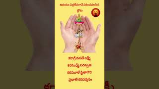 ఉదయం నిద్రలేవగానే పఠించవలసిన శ్లోకం #chagantikoteswararao #devotional #spritual #god #telugu