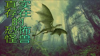 世 界 10 大你不敢相信地球上真实存在的恐怖神秘生物 TOP 10