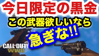 【COD:WW2実況】急げ‼︎ 今日限定,エピック,トーチ,可愛くしかもアイアンサイトが見やすいぜ！（期間限定,ハワード,司令,ウォーマシン）