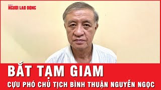 Khởi tố, bắt tạm giam cựu phó chủ tịch tỉnh Bình Thuận Nguyễn Ngọc | Tin tức