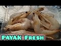 Payak Fresh Masak Sos | Segar Dan Manis