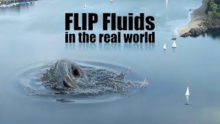 FLIP Fluids in the real world [example / breakdown]