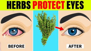 7 Herbs That Protect Eyes and Repair Vision