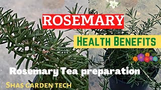 Rosemary uses ~The Secret Nobody Will Never Tell You 🥰