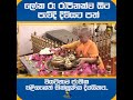 ලෝක රූ රැජිනක්ව සිට පැවිදි දිවියට පත්වියට්නාම ජාතික එළිසබෙත් භික්ෂූණිය දිවයිනට..