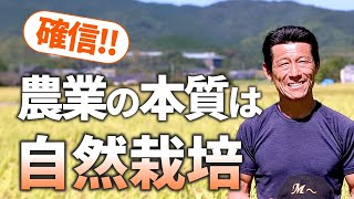 【農業の本質】松本一宏の自然栽培米を作り始めたきっかけ｜福岡県朝倉市三奈木の無農薬・無肥料のお米（自然栽培米専門店ナチュラルスタイル）