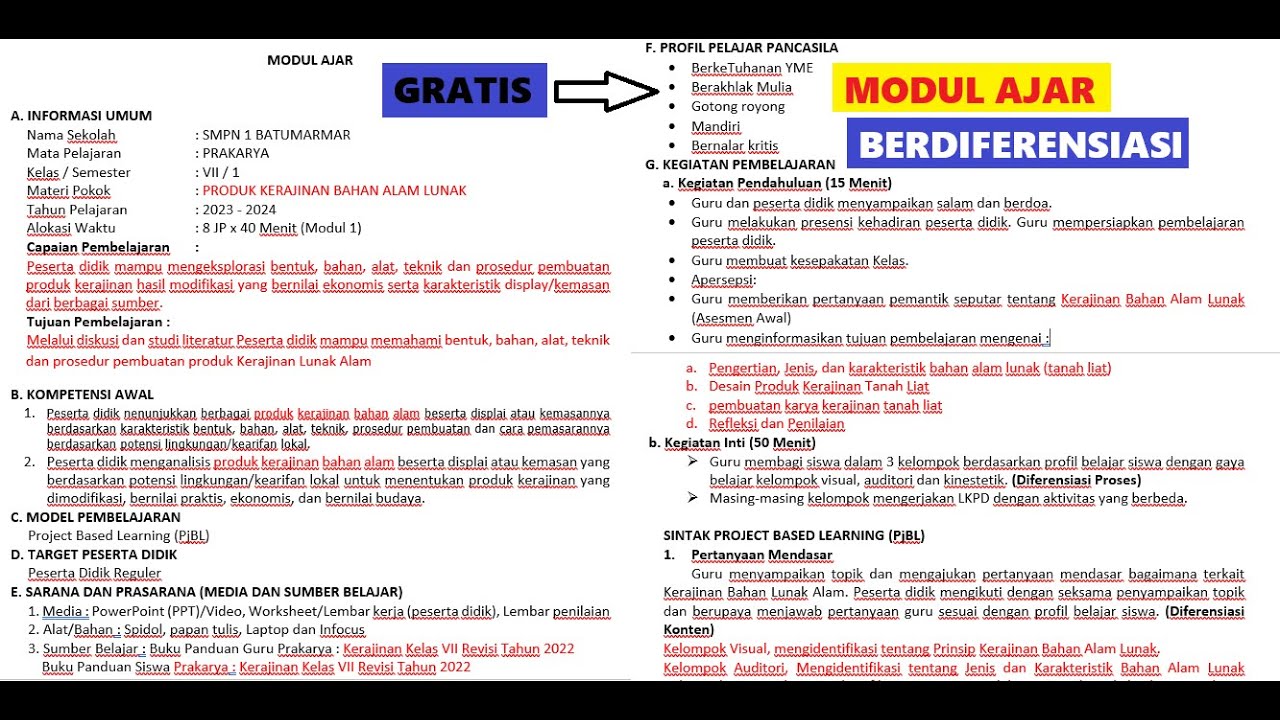 Modul Ajar Berdiferensiasi Kurikulum Merdeka Model PjBL (Gratis) - YouTube