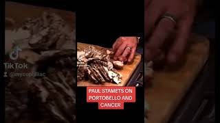 Paul Stamets Joe Rogan Portobello \u0026 Cancer