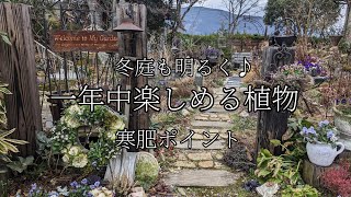 【冬庭も明るく♪一年中楽しめる植物】/寒肥のポイント/お知らせ/自由な心