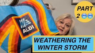 🥶🥶WEATHERING THE WINTER STORM || ALDI GROCERY STORE HAUL PART 2