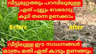 അടുക്കളയിലെ ഈ 3 സാധനങ്ങൾ മതി തോട്ടത്തിലെ പുല്ല് മുഴുവൻ ഉണക്കാൻ | How To Destroy Grass Permanently