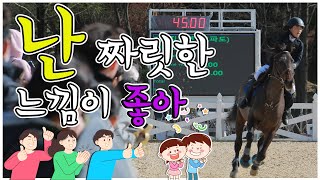 신나는 주말  🦓 승마 즐기기💦 짜릿한 느낌을 주는 승마경기