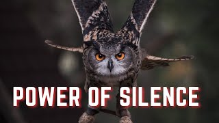 Power Of Silence IIWhy Silent People Are Successful #motivation