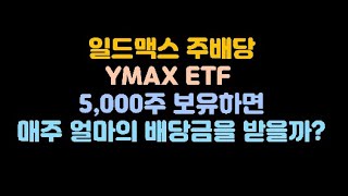 주배당 ETF, 일드맥스 YMAX 5,000주면 배당금은???