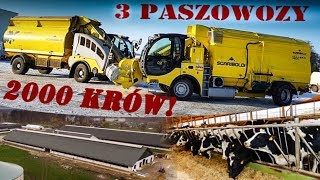 WIELKIE karmienie 2000 krów! 3 paszowozy! Mieszanie paszy w GR Cieszymowo 2018! CaseTeam