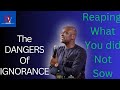 The DANGERS of IGNORANCE (reaping what you did not show) ||APOSTLE JOSHUA SELMAN