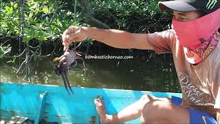 Boat Tour Around Kampung Awat-Awat, Traditional Malay Water Village Sarawak Borneo 婆罗洲乘船游览老越砂拉越水上渔村