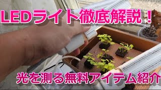 水耕栽培で使うLEDライトを徹底解説！光の測り方紹介