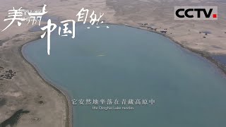 【ENG】青海 真的有一片“青色的海” 还是中国最大的内陆咸水湖《美丽中国自然》环青海湖系列【CCTV纪录】