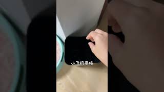 捡回家没多久的小黑猫又丢了 #萌宠出道计划 #猫咪的迷惑行为