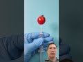 #satisfying #tomatoo #animation #tomato #science #tomatoe #stopmotion #oddlysatisfying #funny