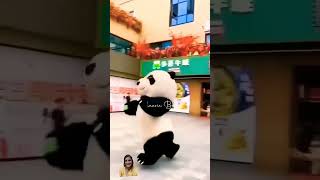 cute panda running