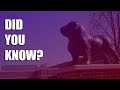 5 Things You (Probably) Didn't Know: Union University