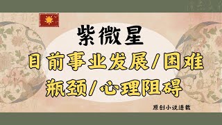 紫微星目前事业发展运势/困难/瓶颈/心理阻碍